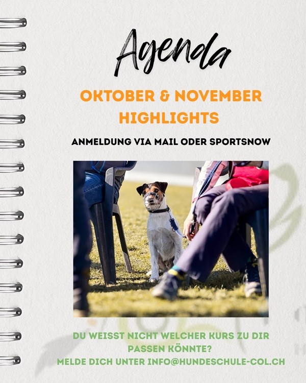 Oktober-November HIGHLIGHTS 2026